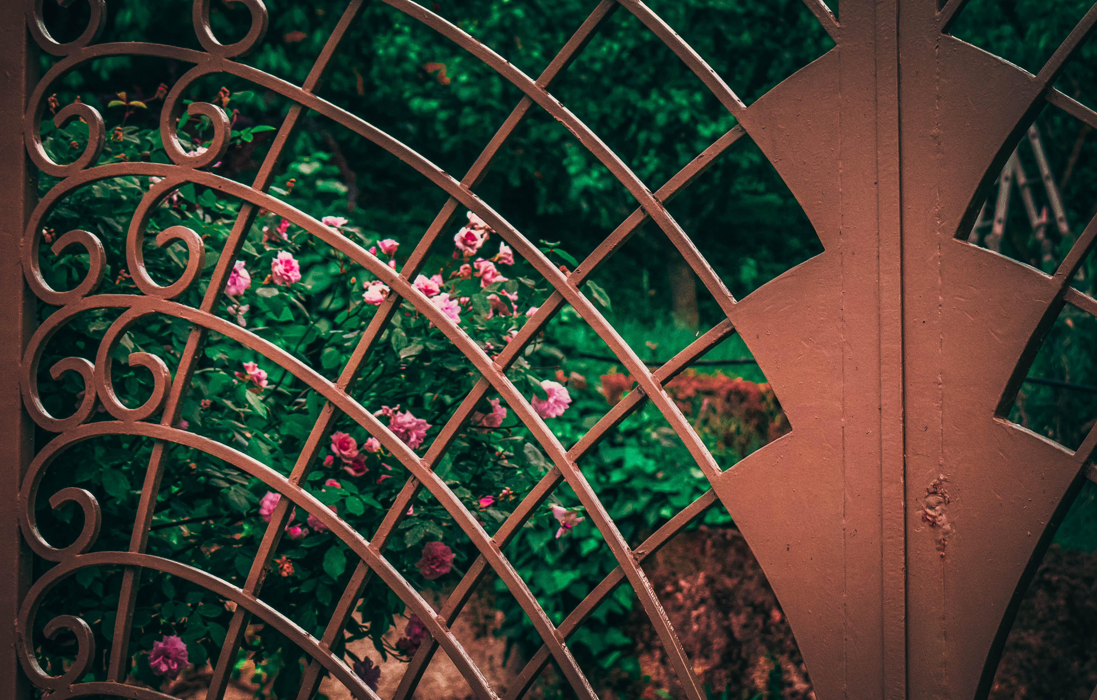 Νατάσσα Χαραλαμπίδου